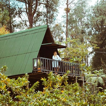 Cardinal Glamping Hotel Guatape Bagian luar foto