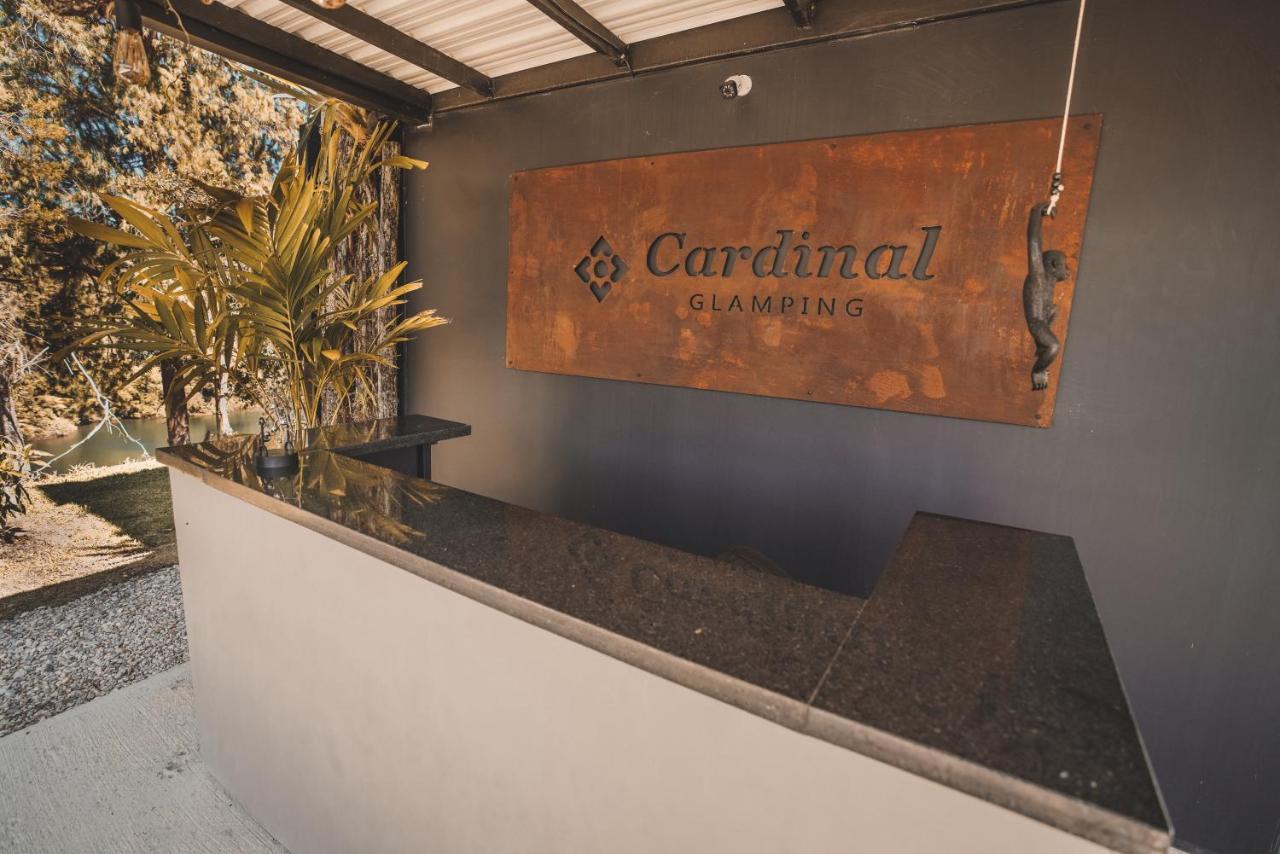 Cardinal Glamping Hotel Guatape Bagian luar foto